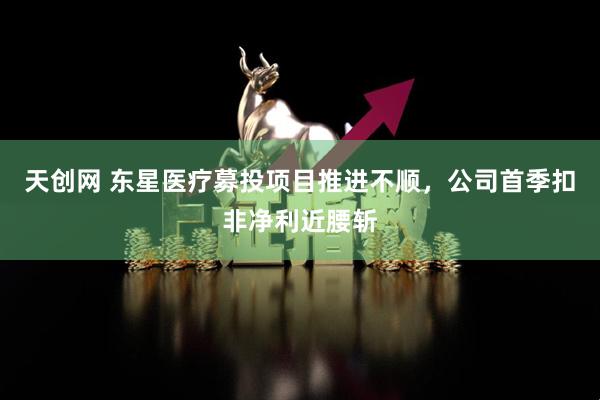 天创网 东星医疗募投项目推进不顺，公司首季扣非净利近腰斩