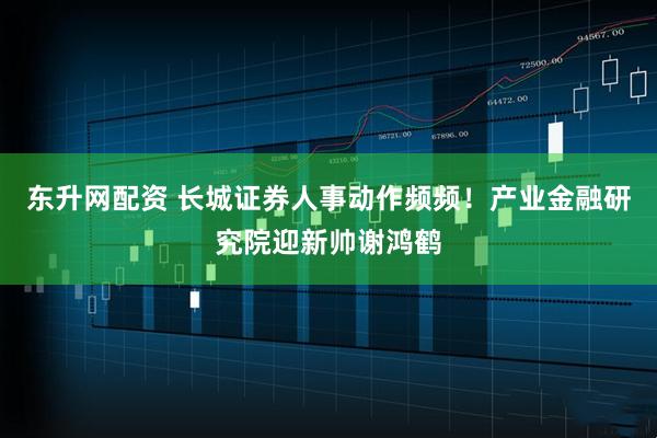 东升网配资 长城证券人事动作频频！产业金融研究院迎新帅谢鸿鹤